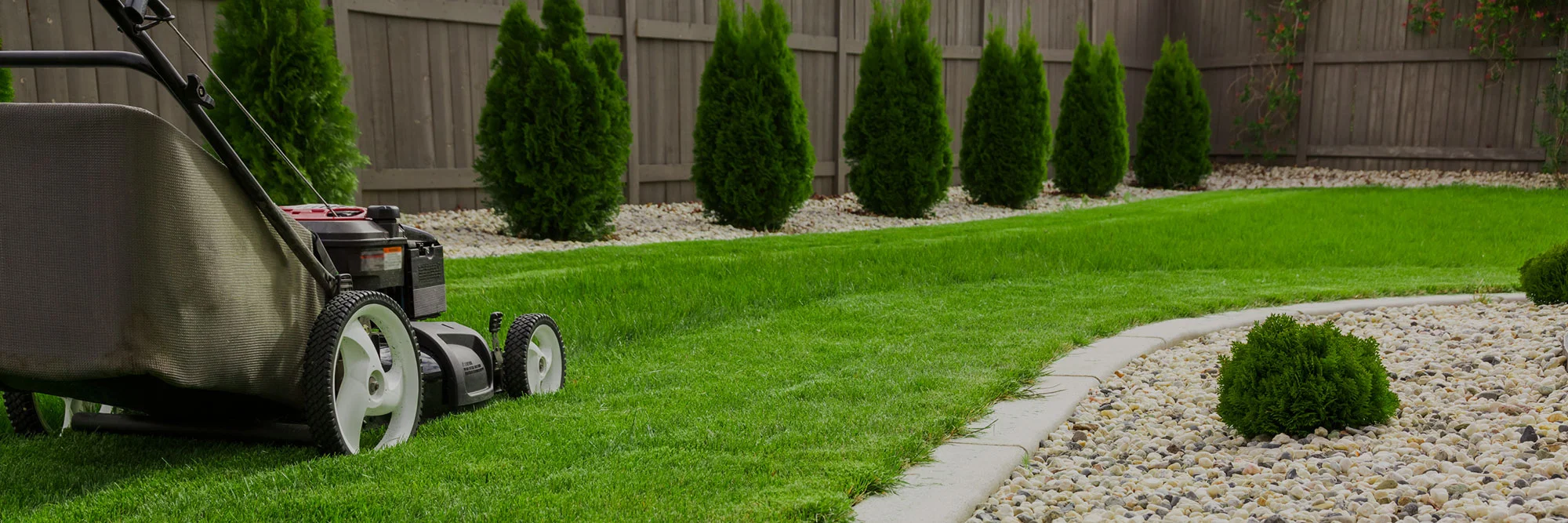 Affordable Yard Cleanup